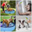 Ensemble de bain pour animaux de compagnie