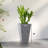 Space-saving Tall Planters Set, Gray Polypropylene Design