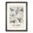 Walnut Framed selected