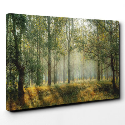 Woodland View in the Spring - Wrapped Canvas