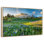 Springtime At Mount Rainier