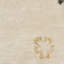 Coreatha Martha Stewart Viscos/Wool Floral Rug in Beige-14413270