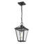 Lanterne suspendue d'extérieur 1 lumière H 14,25 po Swerve-1595622602-1595622603