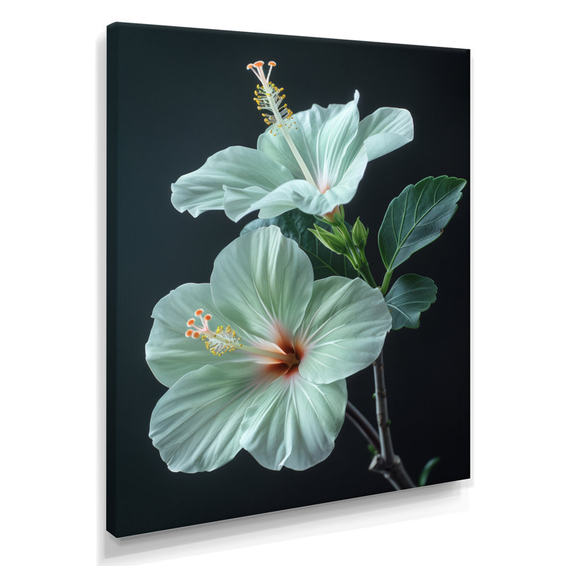 Hibiscus vert cristal II - Hibiscus, Toile tendue, H 16 po x l 32 po