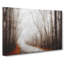 Woodland Road - Wrapped Canvas-56638077