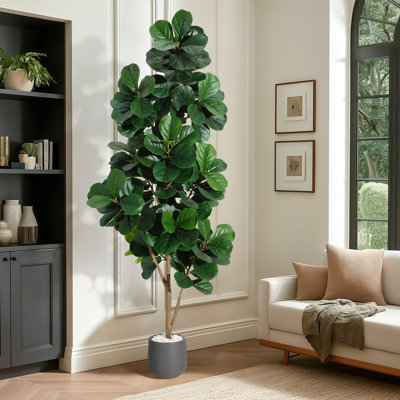 120cm Plant