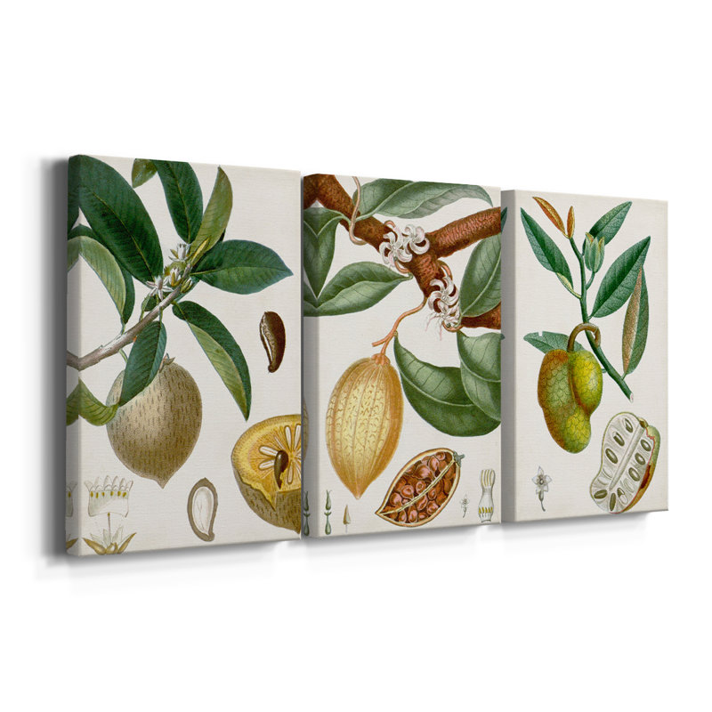 Turpin Tropical Fruit I - Toile tendue avec châssis sur mesure - 3 pièces, H 36 po x l 72 po