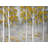 Birch Forest Gray Trees Polyester Placemat | Home Decor