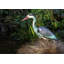 Roxana PE Garden Statue Heron Decoy