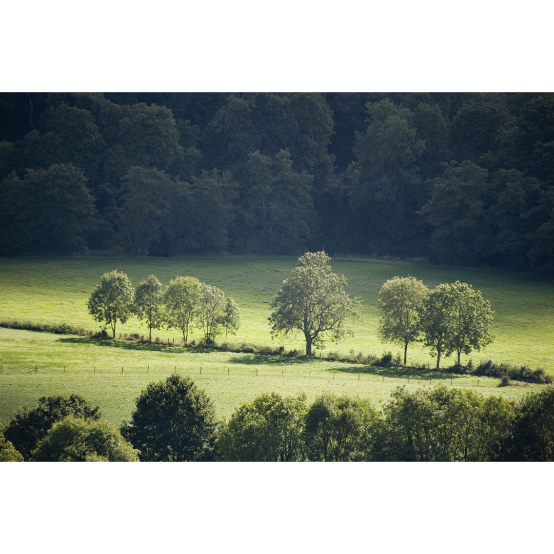 Surrey Countryside In Summer von AndrewLinscott - Leinwandbild