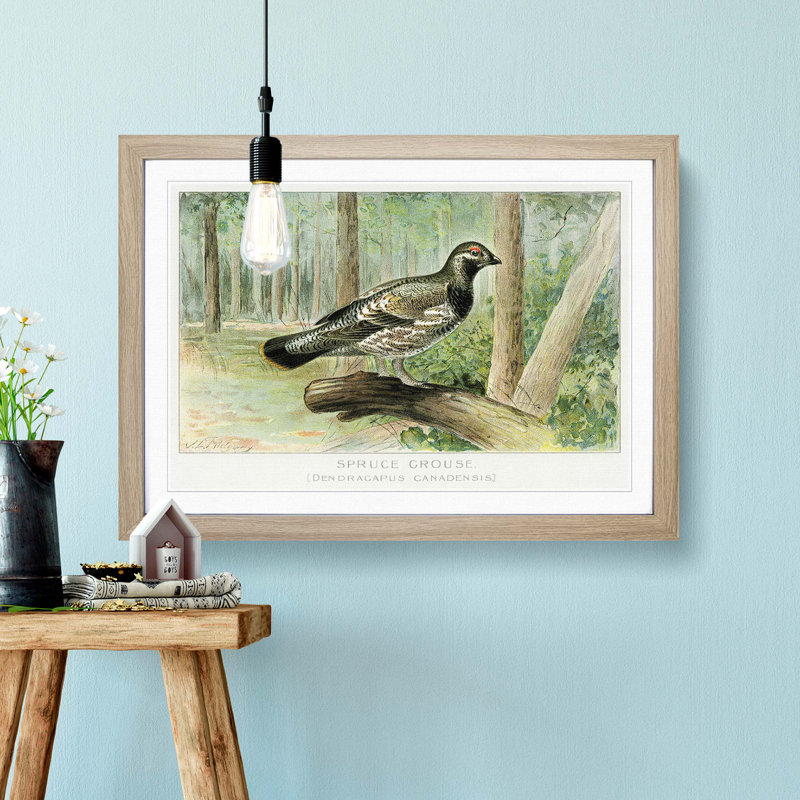 Spruce Grouse by J.L. Ridgway - Picture Frame Painting Print, Oak Framed, 36cm H x 48cm W x 2cm D