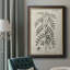 Antique Black & White Botanical IX - Peinture sur toile encadrée-413412654