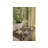 Cedella 14.5'' H Crystal Tabletop Candlestick