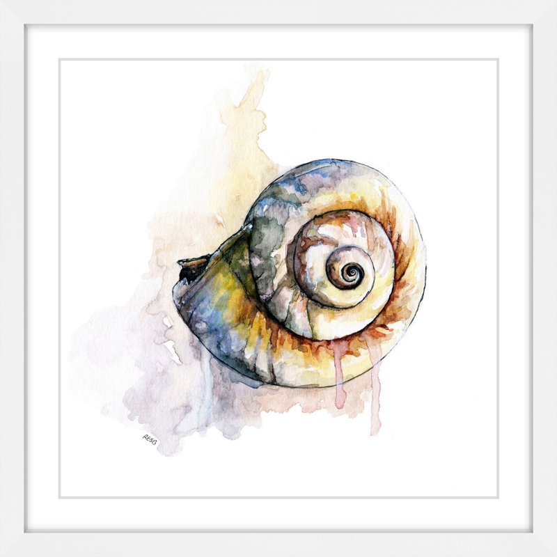 "escargot shell" par rachel byler, reproduction d’art encadrée sur papier, H 12 po x l 12 po x P 1,5 po