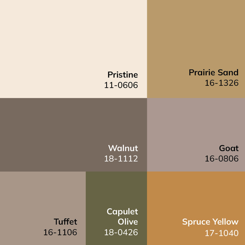 Taupe and Cream Synthetic Stain-Resistant Rectangular Area Rug