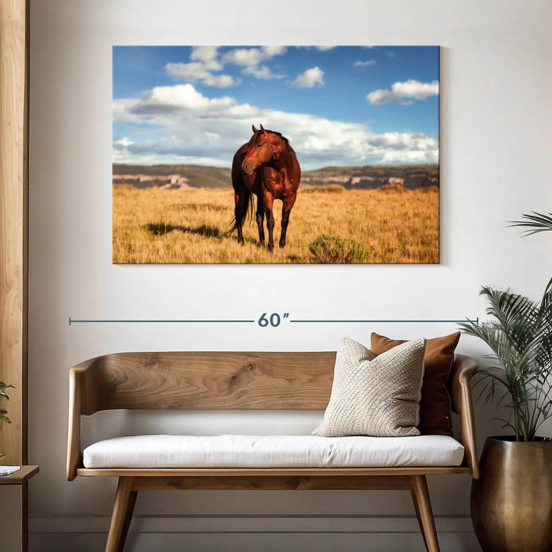 Wild Quarter Horse, 32" H x 48" W