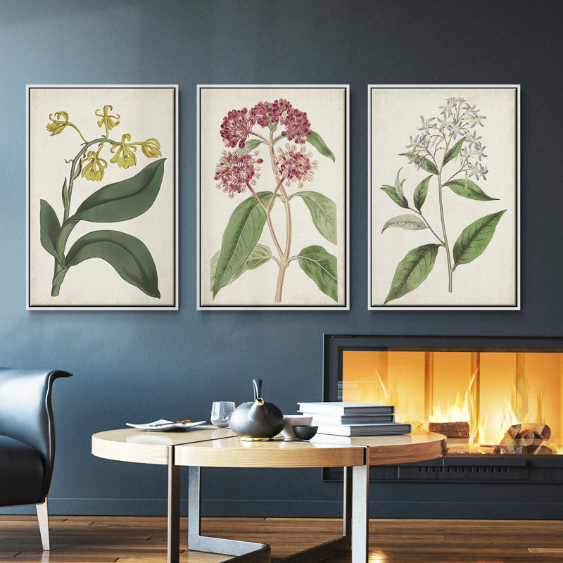 Ensemble de 3 pièces encadrées sur toile Antique Botanical Collection VI, Blanc, H 27 po x l 54 po
