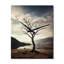 Desert Serenity In Solitude II - Horloges murales florales-99632022
