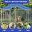 Metal Yard Kennel-100482876
