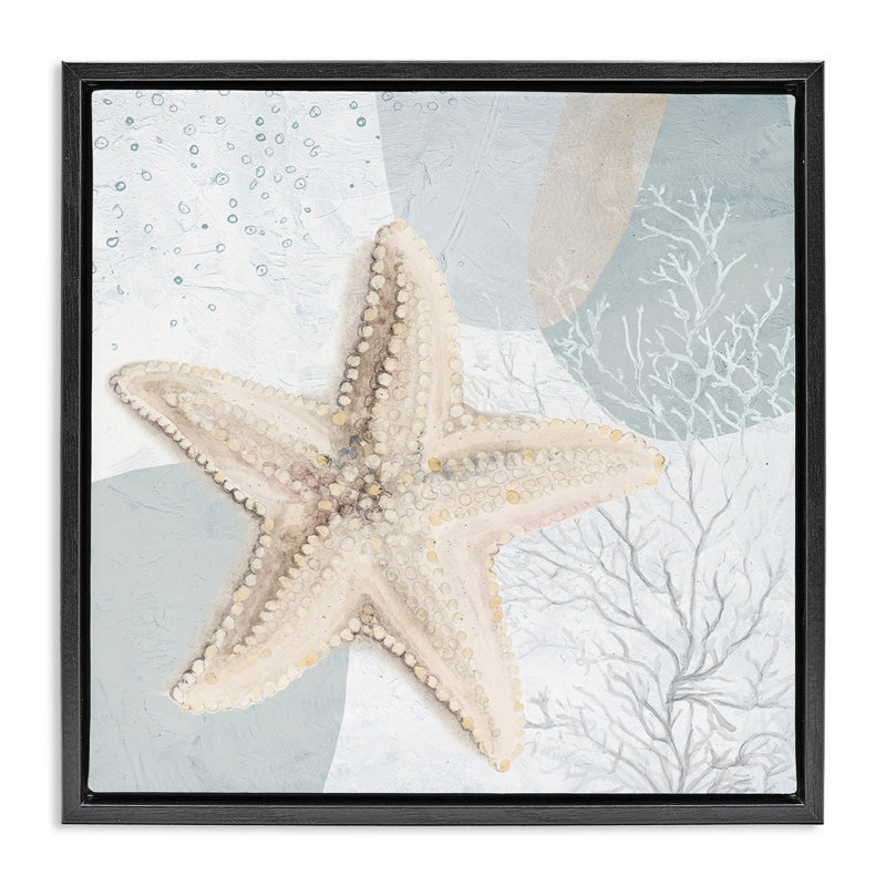 «Starfish over Circle», art mural encadré flottant par Patricia Pinto, Cadre flottant noir de jais, H 18 po x l 18 po