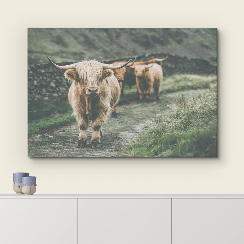 Animaux lavés en Écosse Highland Country Cow, Toile tendue, H 32 po x l 48 po x P 1,5 po