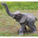 Good Luck Trunk-Up Baby Elephant Statue
