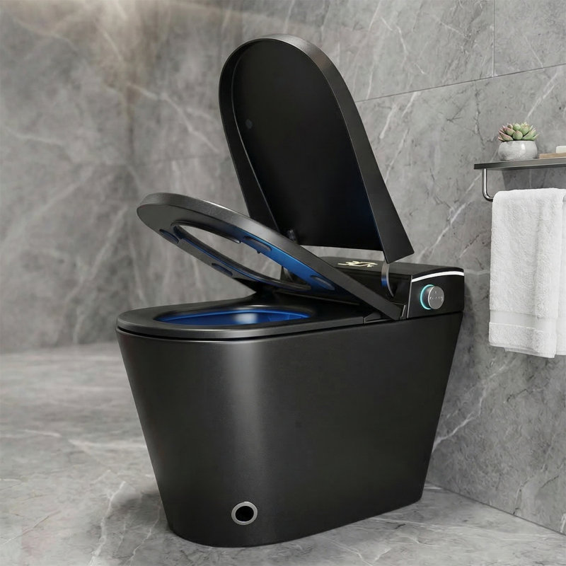 One Piece Smart Toilet with Bidet Built In, Auto Open/Close Seat, Warm Water Wash & Dryer, Heated Seat, Night Light, Foot Sensor, Remote Control, Black