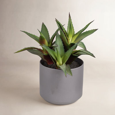 10'' Faux Succulent Plant in Ceramic Pot