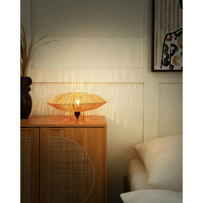 Anegla Iron Novelty Lamp