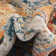 Alkire Indoor Rug