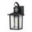 13 In. Sand Black 1-Light Motion Sensing Outdoor Wall Sconce With Dusk To Dawn And Clear Glass Shade