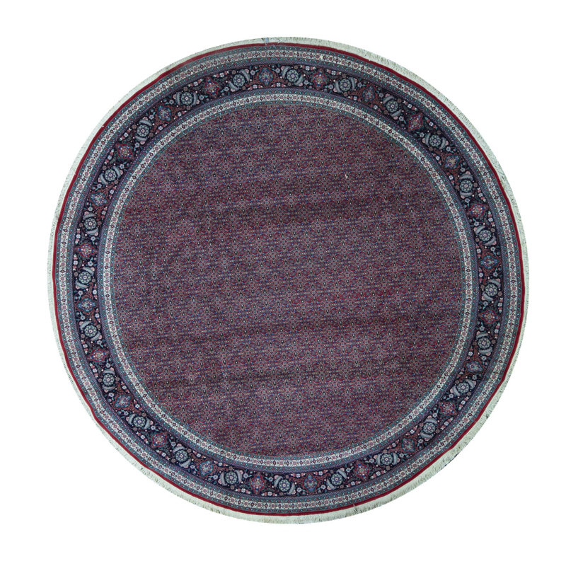 Wool Oriental Area Rug in Rust/Navy