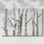Birch Trees II - Toile tendue avec châssis-733477358