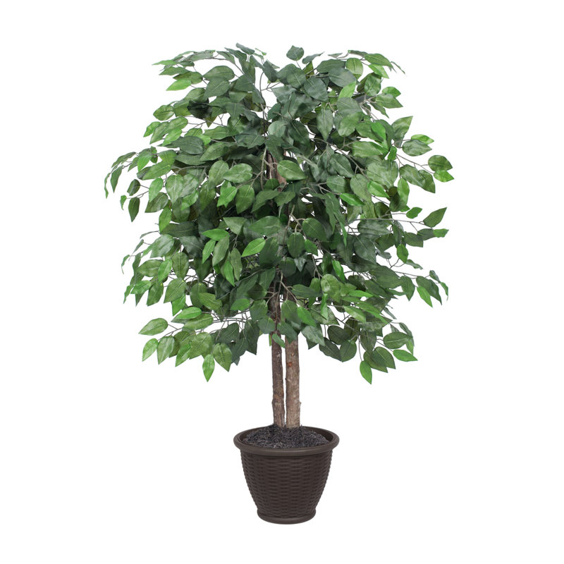 Ficus artificiel 4 ', contenant en plastique, Brun