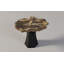 Arboresce Petrified Wood Mini Coffee Table