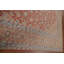 Tapis traditionnel 10 x 13