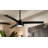 Roto LED 52" 3-Blade LED Ceiling Fan in Coal Black Finish with Coal Black Blades and Etched Lens-128871875