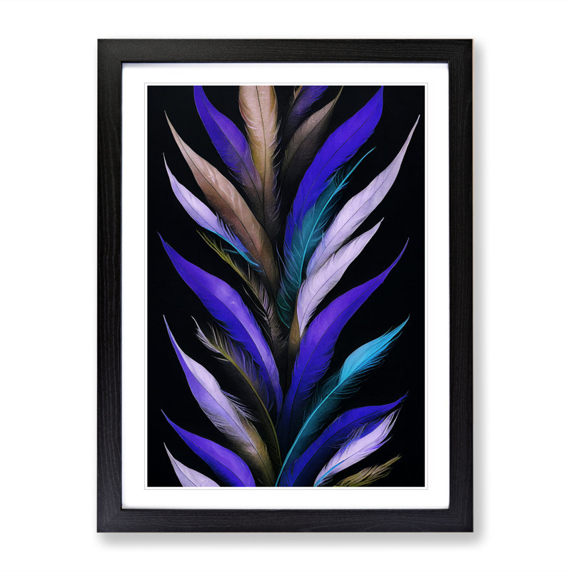 Special Feathers - Single Picture Frame Painting, Black Framed, 64cm H x 46cm W x 2cm D