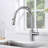 Pull Down Single Handle Kitchen Faucet-15858014