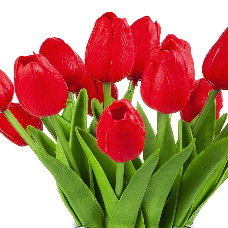 Pièce maîtresse de tulipes en vase, Rouge