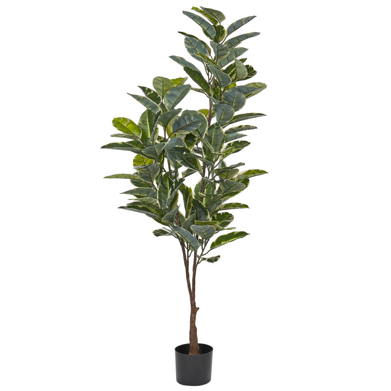 160cm Faux Ficus Plant in Planter