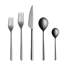 Linea Stainless Steel Flatware - Set of 5-101921092
