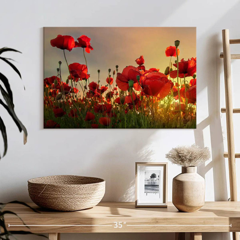Coquelicots Harnek, H 16 po x l 24 po