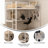Metal Loft Bed Frame with Desk, Protective Guard Rails and Ladder-705503964