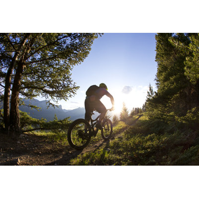 Mountain Bike Rider by Gibsonpictures