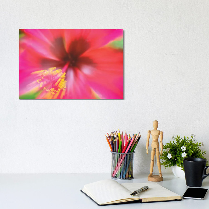 Pink Hibiscus Flower - Wrapped Canvas Print, 20.32cm H x 30.48cm W x 1.905cm D