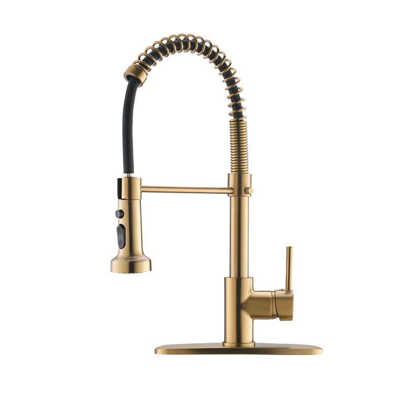 Robinet de cuisine rétractable à poignée simple avec accessoires, Or brossé