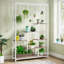 Altonya Plant Stand-186929072