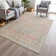 Machine Washable Indoor/Outdoor Xhevrie Pink Rug