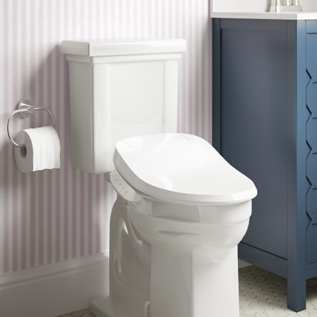 Toilet Buying Guide